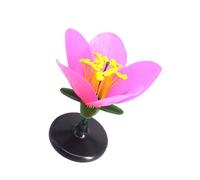 Magnified Peach Blossom Demonstration Kits Interactive Learning Equipment for Secondary School Laboratories Flower Model for Classroom