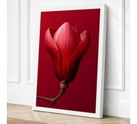 Magnolia Bloom Botanical Canvas Wall Art Print 24x16 Inch | White