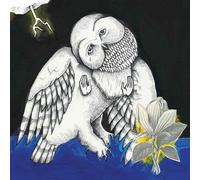 Magnolia Electric Company - The Magnolia Electric Co