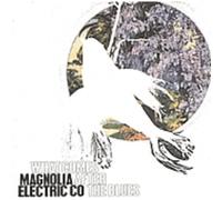 Magnolia Electric Company - What Comes After The Blues