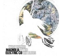 Magnolia Electric Company - What Comes After The Blues [VINYL]