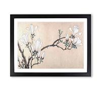 Magnolia Flowers Vo.1 By Wen Zhengming Asian Japanese Framed Print | A2 Black Framed Wall Art | Ready to Hang | Asian Floral Picture | Living Room Bedroom Lounge Office