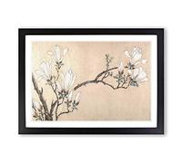 Magnolia Flowers Vo.1 by Wen Zhengming Framed Print | A2 Black Framed Wall Art | Ready to Hang | Modern Floral Picture | Living Room Bedroom Lounge Office