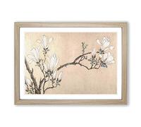 Magnolia Flowers Vo.1 by Wen Zhengming Framed Print | A2 Oak Framed Wall Art | Ready to Hang | Modern Floral Picture | Living Room Bedroom Lounge Office