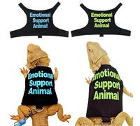 Magnoloran 2 Pack Bearded Dragon Harness and Leash Set,Escape Proof Lizard Reptiles Harness Small Animal Traction Rope Training Walking Vest for Reptile Squirrel Rat-Blue&Green