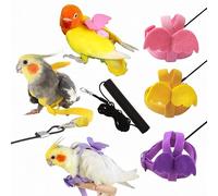 Magnoloran 3 Sets Pet Parrot Bird Harness and Leash with Cute Wing, Adjustable Bird Flying Harness Straps Outdoor Training Traction Rope for Parrots Pigeons Lovebird Cockatiel(L,Pink, Yellow&Purple)