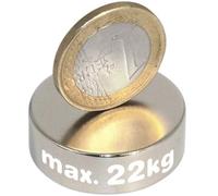 Magnosphere Disc Magnet Ø 30 x 10mm, Neodymium N45, Nickel, Round, 22kg Pull