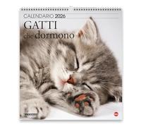 Magnum Sleeping Cats Calendar 2026