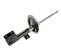 Magnum Technology AGP108MT Shock Absorber for CITRO?N,PEUGEOT,SMART