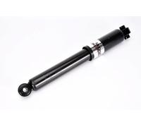Magnum Technology AGR013MT Shock Absorber for RENAULT