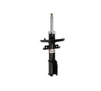 Magnum Technology AGR150MT Shock Absorber for RENAULT