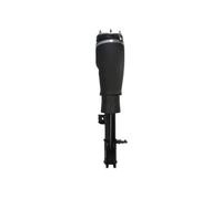 Magnum Technology APL017MT Air Spring Strut for LAND ROVER