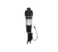 Magnum Technology APM002MT Air suspension strut