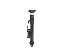 Magnum Technology APM004MT Air Spring Strut for MERCEDES-BENZ
