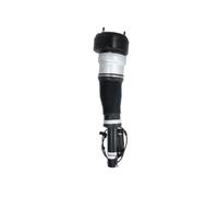 Magnum Technology APM013MT Air Spring Strut for MERCEDES-BENZ