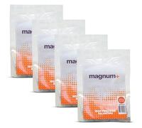 magnum+ Tyre Balancing Beads for Trucks, Trailers, Motorcycles, ATVs - TPMS Compatible Tempered Glass Wheel Balancing Beads - Fleet Tray with 4 Bags x 240g