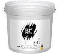 MagPaint Transform any wall into a high-definition projector screen BeamerPaint. Perfect for home theaters, presentations, or gaming setups.