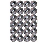 Magpie Circular Matt Paper Stickers A4 Sheet of 24 (Each Sticker is 45mm Diameter)