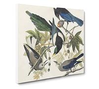 Magpie, Crow & Jay Birds by John James Audubon Canvas Print | Gallery Wrapped 30mm Frame Wall Art | 14x14 inches | Ready to Hang | Retro Bird Picture | Living Room Bedroom Lounge Office