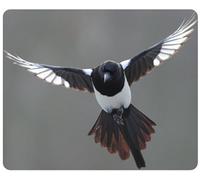 Magpies Bird Mouse Pad, Customized Rectangle Mousepad