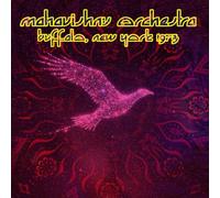 Mahavishnu Orchestra - Buffalo, New York 1973