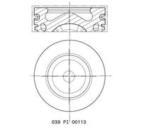 MAHLE 039 PI 00113 000 Piston