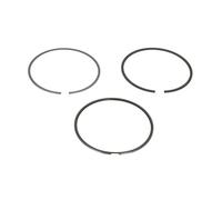 Mahle 039 RS 00101 0N0 Piston & Rings