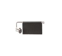 MAHLE AE 248 000P Air conditioning evaporator