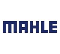 Mahle Smartbike Systems X20 Gen 2 Alloy Shimano/sram Hg Freehub Body Silver One Size Black