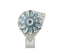 Mahle New Automobile Alternator 12 Volt 3150 Gram For Fendt 33A MG517