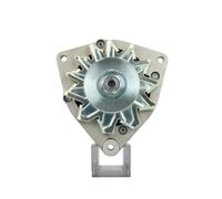 BV PSH 215.025.055.311 Alternator