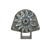 BV PSH 515.012.120.310 Alternator