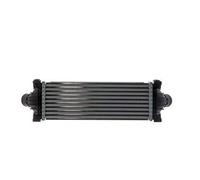 Charge Air Cooler Fits Ford Transit Van Platform/Chassis BUS MAHLE CI 391 000P