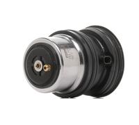MAHLE TM 100 92 Thermostat