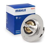 MAHLE TX 100 89D Thermostat
