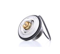 MAHLE TX 18 79D Thermostat