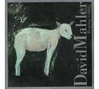 Mahler, David - Hearing Voices