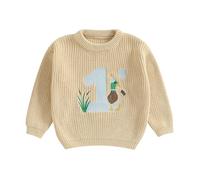 MAHUAOYIXI Baby Boy First Birthday Sweater Casual Long Sleeve Crew Neck Duck Letter Embroidery Ribbed Knit Pullover Jumper Toddler Clothes Warm Knitwear Boys Birthday Gift (Khaki, 6-12 Months)