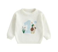MAHUAOYIXI Baby Boy First Birthday Sweater Casual Long Sleeve Crew Neck Duck Letter Embroidery Ribbed Knit Pullover Jumper Toddler Clothes Warm Knitwear Boys Birthday Gift (White, 6-12 Months)