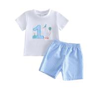 MAHUAOYIXI Baby Boy Girl 1st Birthday Outfit One Year Cake Balloon Goose Embroidery Short Sleeves T-Shirt and Elastic Waist Plaid Shorts 2Pcs Boys First Birthday Clothes Set Cake Smash