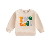 MAHUAOYIXI Toddler Baby Boy 2nd Birthday Sweatshirt Long Sleeve Crew Neck Letters Embroidery Pullover Hoodie Casual Daily Shirt Top Second Birthday Outfits for Little Boys (Khaki, 2-3 Years)