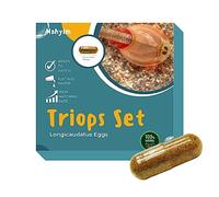 MAHYIM Triops Kits The Living Fossil