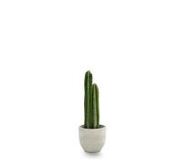 MAIA SHOP Artificial Cactus 70cm - Realistic Small Size Decorative Plant for Home, Office, Hotels and Interior Design Projects