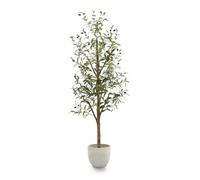 Maia Shop | Artificial Olive Tree | Decorative Artificial Plants | Fruit Trees | Measurements: 150 x 60 cm | Artificial Plant | Decoration | Minimalist
