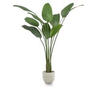 Maia Shop | Bird of Paradise | Decorative Atificials | Measures 180 x 115 cm | Tropical Plant | Bird of Paradise | Decoration