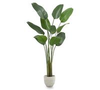 Maia Shop | Bird of Paradise | Decorative Atificials | Measures 210 x 115 cm | Tropical Plant | Bird of Paradise | Decoration