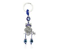 MAIGO Owl Charm - Cute Blue Eyes Owl Key Chains, Gifts for Men, Women, Kids, Boys, Girls - Car, House, Tractor, Purse, Pendant Keys, Best Friend Animal Keyring Rings
