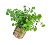 Maigridy Realistic Potted Plant Decoration Artificial Potted Plant Ornament For Office Desk Living Room Kitchen Home