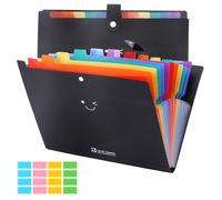 MAIJIAJU 2Pcs Expanding File Folder A4, 13 Colorful Pockets Accordion File Organiser with 160Pcs Labels, Large Capacity Paperwork A4 Document Organiser Filing Folder Storage for Office School, Black