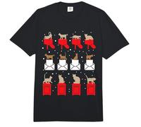 Mail Carrier Parcel Delivery Post Man Postal Cats Postman Comfort Colors Adult Heavyweight T-Shirt
